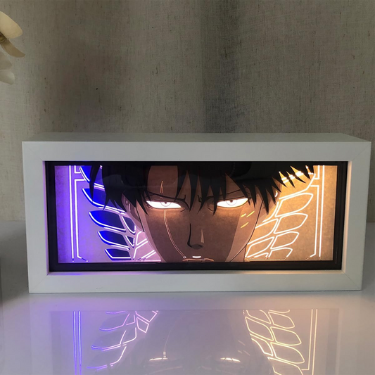 Levi Box-Light